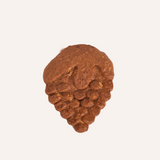 Hasseltse Speculaas Druiventros 6 stuks